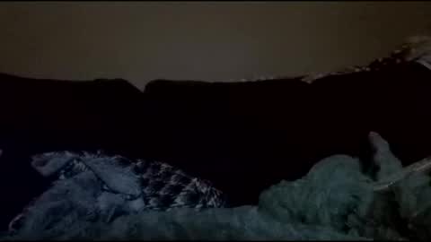 stefy1037 online show from 04/18/26, 04:38