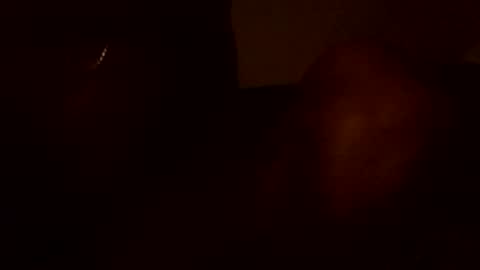 Snapshot of stefy1037 chatting on 06/13/26, 05:49 stefy1037 online show from 06/13/26, 05:49