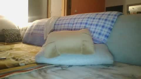 Snapshot of steki038434 chatting on 01/12/25, 02:03 steki038434 online show from 01/12/25, 02:03