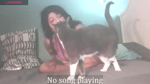 Stella Clitella online show from 10/03/25, 11:40