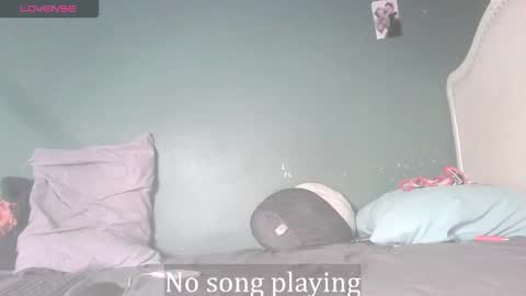 Stella Clitella online show from 11/24/25, 09:09