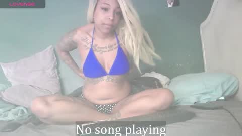 Stella Clitella online show from 01/17/26, 10:53