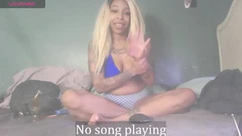 Stella Clitella online show from 04/11/26, 07:24