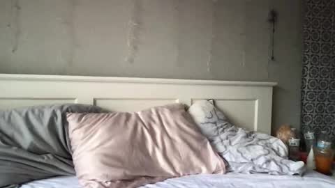 stelladams online show from 03/04/26, 09:43