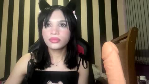 Snapshot of stellapapillon chatting on 02/10/26, 11:31 stellapapillon online show from 02/10/26, 11:31