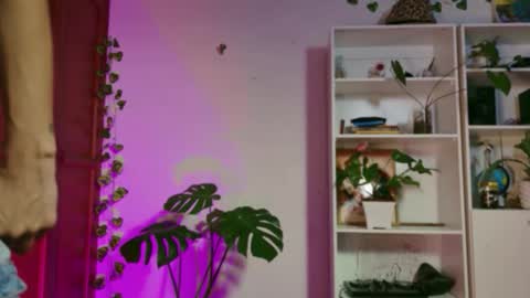 stellart_ online show from 11/20/25, 03:50