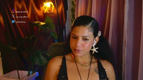 Snapshot of stellart_ chatting on 07/20/26, 02:48 stellart_ online show from 07/20/26, 02:48