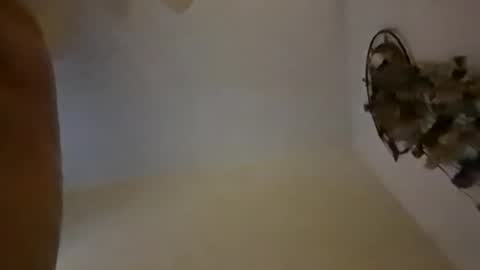 sterng123 online show from 12/10/24, 09:01