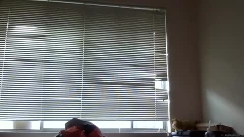 Australian420 online show from 12/08/24, 09:41