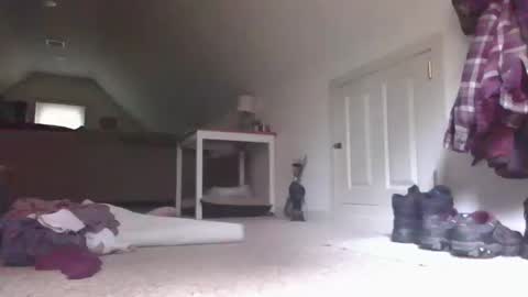 steve online show from 10/13/25, 05:57