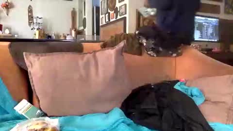 STEVE CASHMASTER 1comedia online show from 02/25/25, 08:51