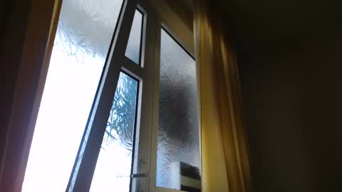 Steven online show from 01/07/25, 11:58