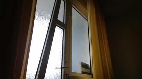 Steven online show from 01/26/25, 11:28