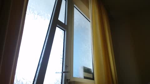 Steven online show from 02/19/25, 01:39