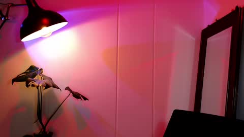 Daniel Steven Navarro online show from 04/05/26, 12:41