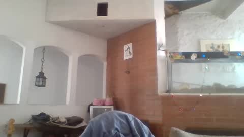 stevenson988 online show from 12/26/24, 06:12