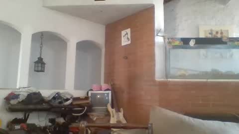 stevenson988 online show from 02/15/25, 06:44