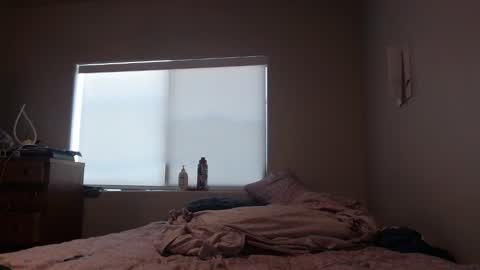 stiffcock4269 online show from 04/15/26, 07:58