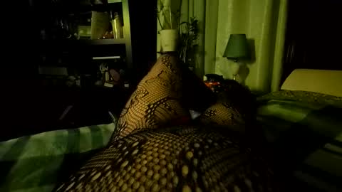 StockingGeek online show from 12/05/25, 07:06