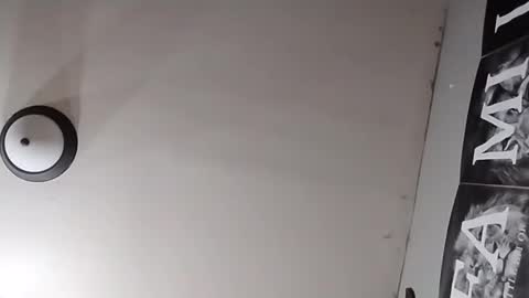 Oval2022 online show from 03/26/26, 12:11