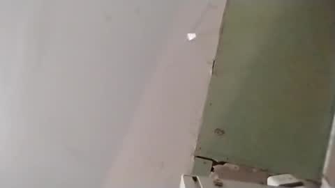 Oval2022 online show from 04/14/26, 12:22