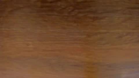 Stone Lee  online show from 02/13/25, 11:50