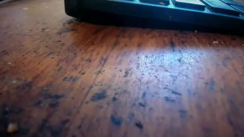 Stoner Dad online show from 04/28/26, 06:46