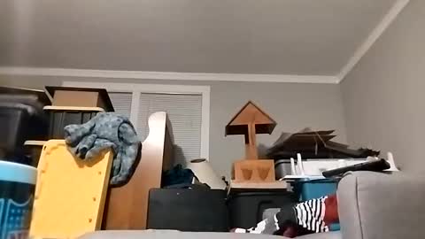 Streetwyze online show from 10/23/25, 08:46