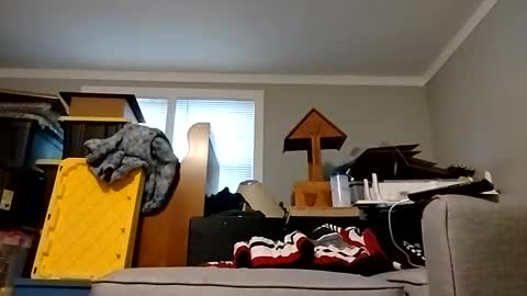 Streetwyze online show from 10/25/25, 12:34