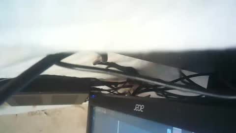 strangerdanger_2 online show from 01/09/26, 11:35