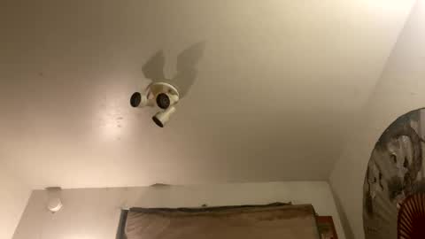 Stag online show from 09/27/25, 07:46