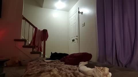 Strawberrylotsacake online show from 09/17/25, 05:31