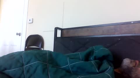 strictdaddy13 online show from 02/21/25, 02:38