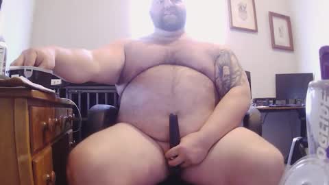 strong_bear89 online show from 02/05/26, 06:34