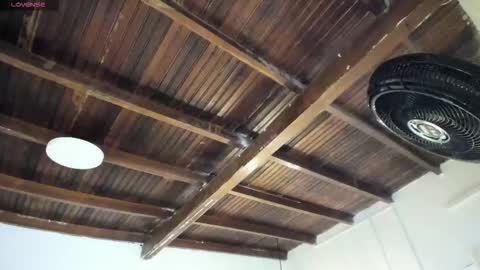 Alexa   online show from 02/21/26, 11:00