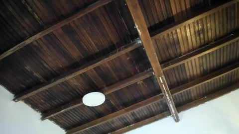 Alexa   online show from 04/24/26, 11:01