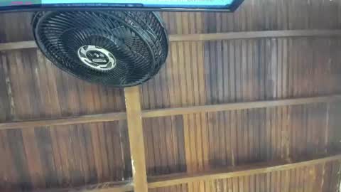 Alexa   online show from 08/01/26, 10:36