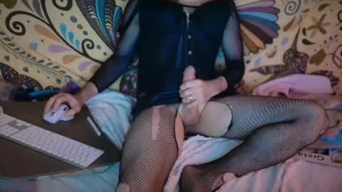 stseal3 online show from 04/26/26, 04:21