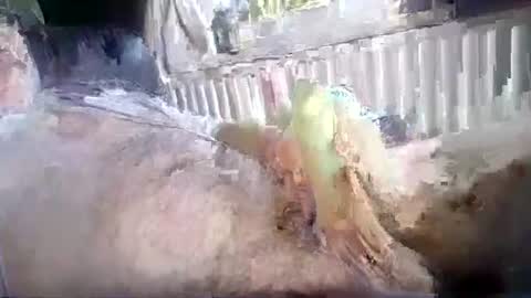 stud_1975 online show from 07/18/26, 12:31