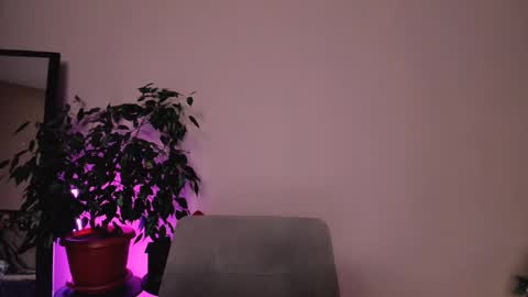 Snapshot of stuffed_cookie chatting on 12/18/24, 01:45 Mary online show from 12/18/24, 01:45