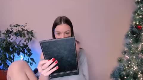 Snapshot of stuffed_cookie chatting on 12/28/24, 07:33 Mary online show from 12/28/24, 07:33