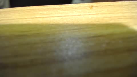 subswitchuser online show from 01/15/25, 06:08