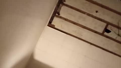 suckmeplease70 online show from 11/02/25, 07:55