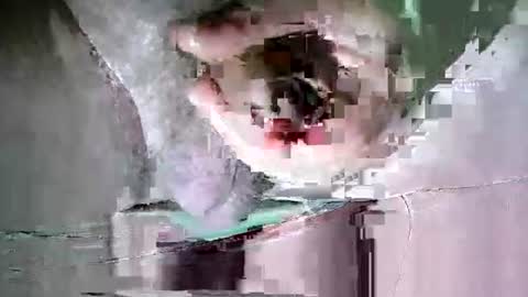 Martin sweetboy online show from 10/20/25, 11:38