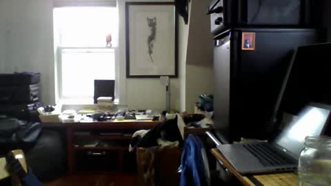 Sugar online show from 04/14/26, 02:01