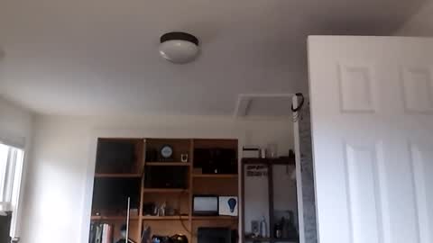 Sugar online show from 04/05/26, 10:29