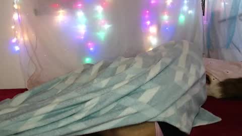 Snapshot of suley_fox chatting on 03/04/26, 02:17 zuley online show from 03/04/26, 02:17