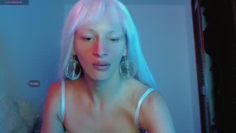 Summer online show from 01/01/25, 12:11