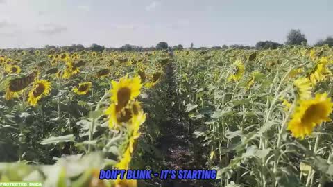 Tina. Im topless model  online show from 09/14/25, 08:02