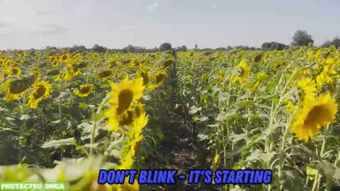 Tina. Im topless model  online show from 02/05/26, 09:03